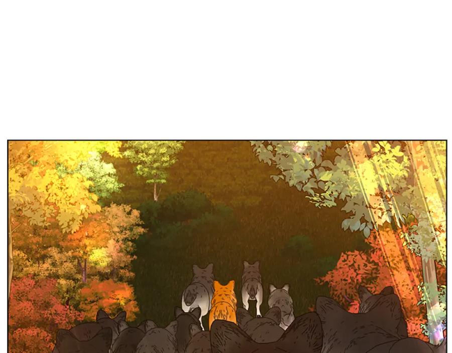 《狐狸的枷锁》第163话 逃脱大作战 第78页