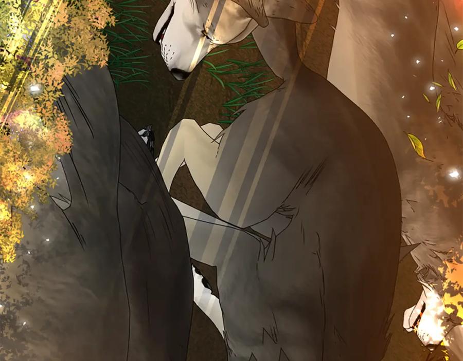 《狐狸的枷锁》第163话 逃脱大作战 第74页