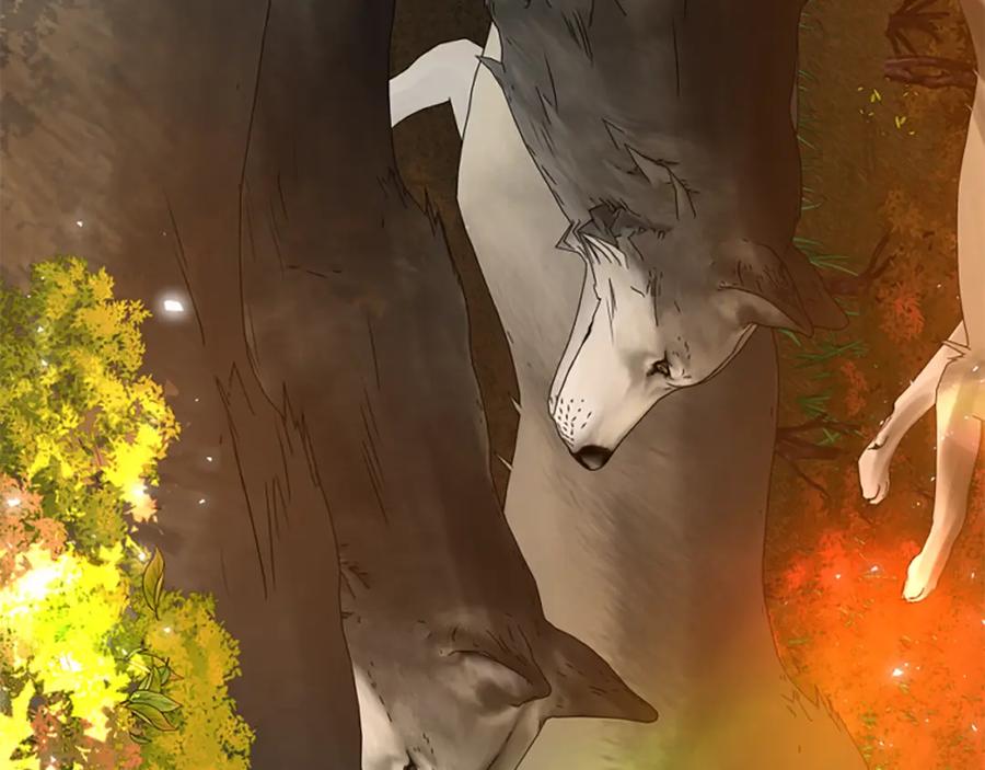 《狐狸的枷锁》第163话 逃脱大作战 第75页