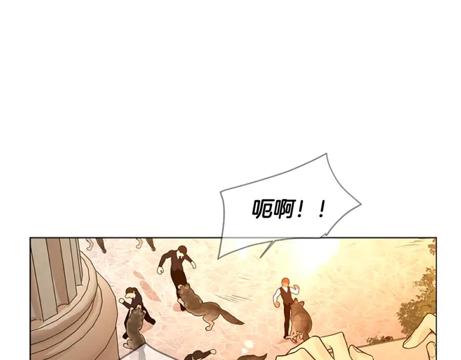 《狐狸的枷锁》第164话 解救行动 第7页