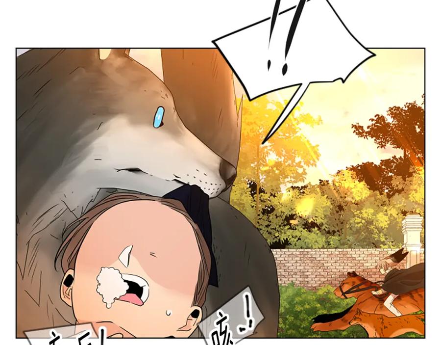 《狐狸的枷锁》第164话 解救行动 第51页