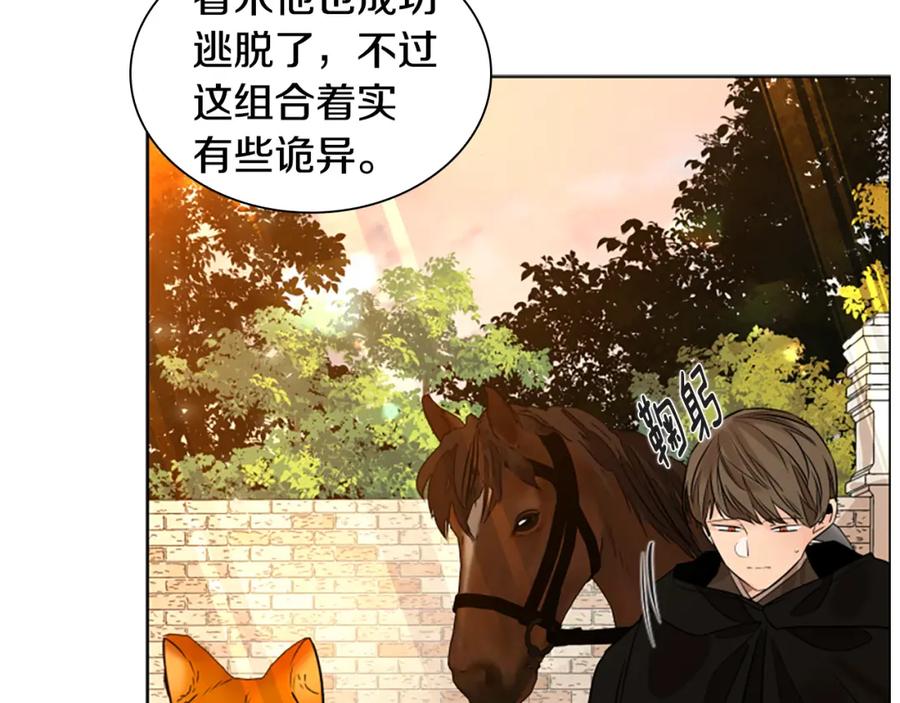 《狐狸的枷锁》第164话 解救行动 第67页