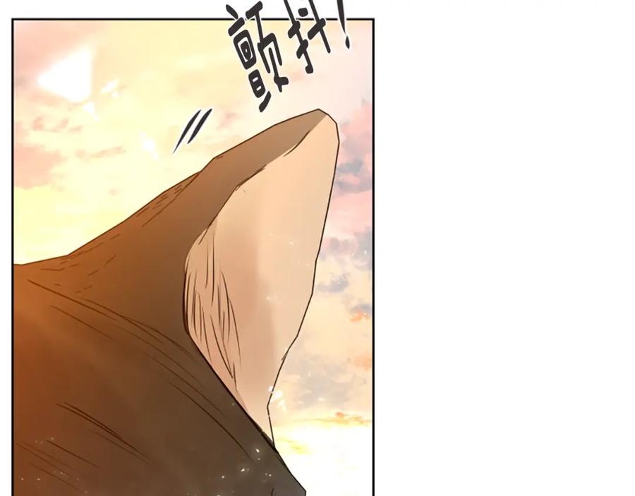 《狐狸的枷锁》第164话 解救行动 第47页