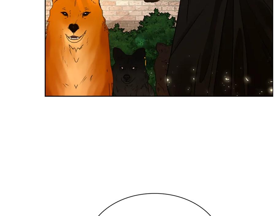 《狐狸的枷锁》第164话 解救行动 第68页