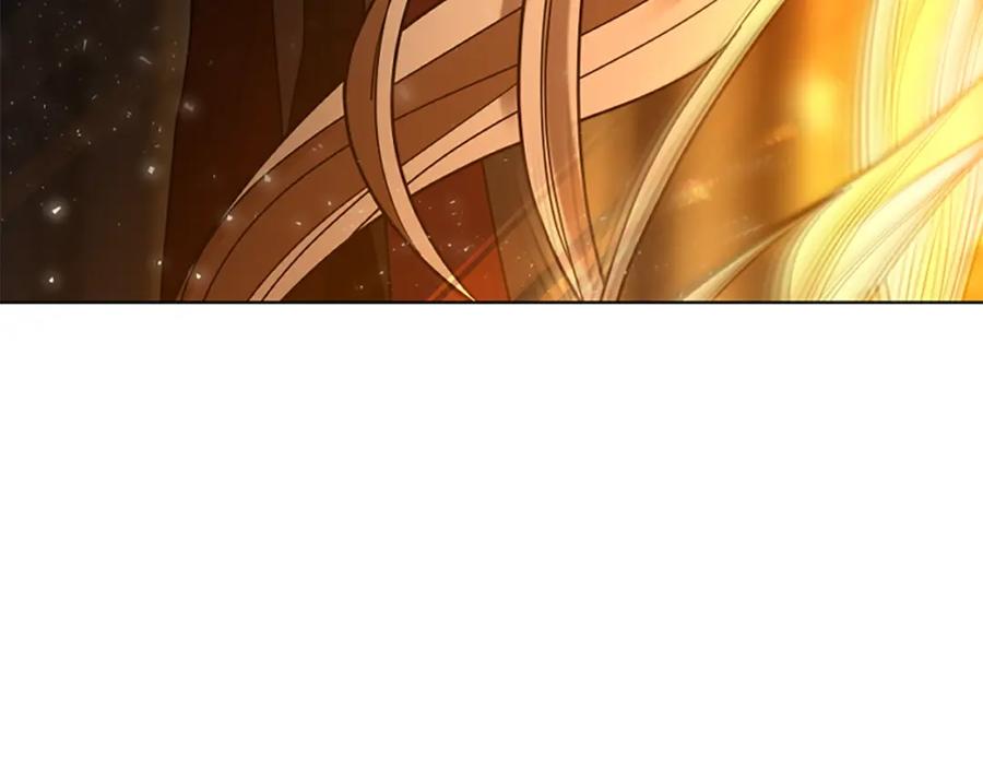 《狐狸的枷锁》第165话 美救英雄 第156页