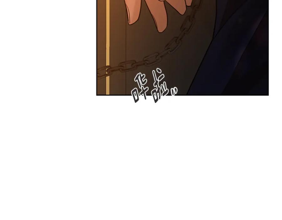《狐狸的枷锁》第165话 美救英雄 第35页