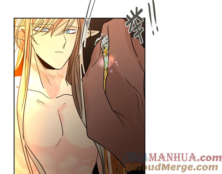 《狐狸的枷锁》第165话 美救英雄 第117页
