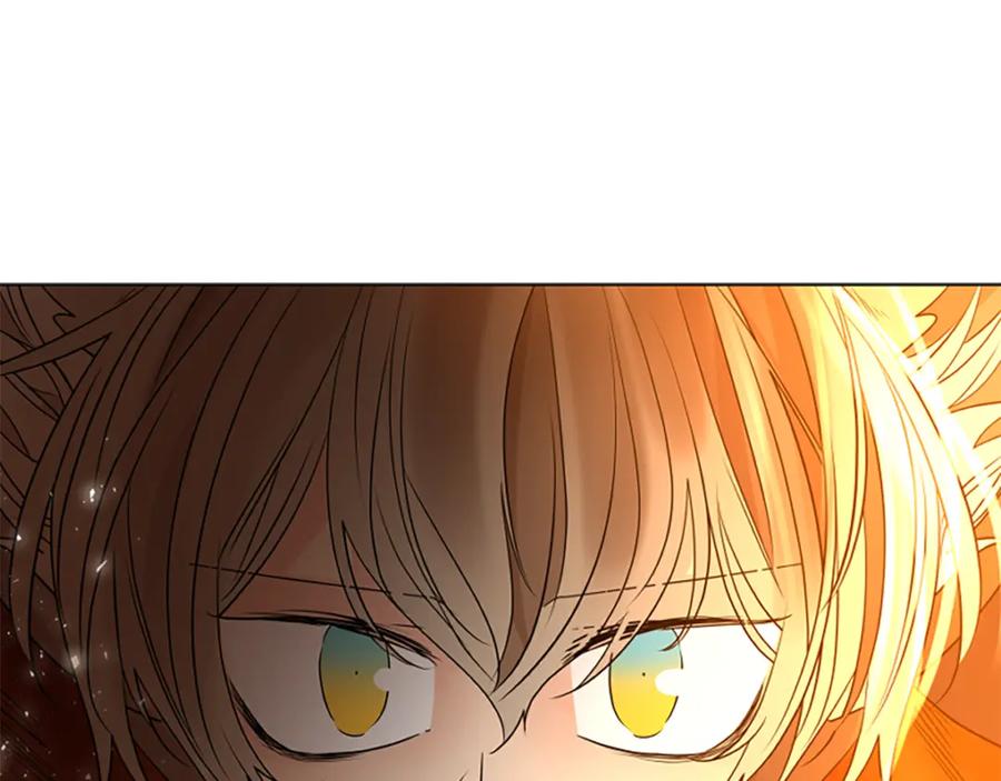《狐狸的枷锁》第165话 美救英雄 第166页