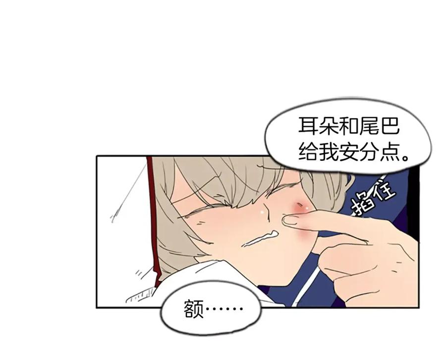 《狐狸的枷锁》第57话 有我呢，他们不敢靠近 第65页