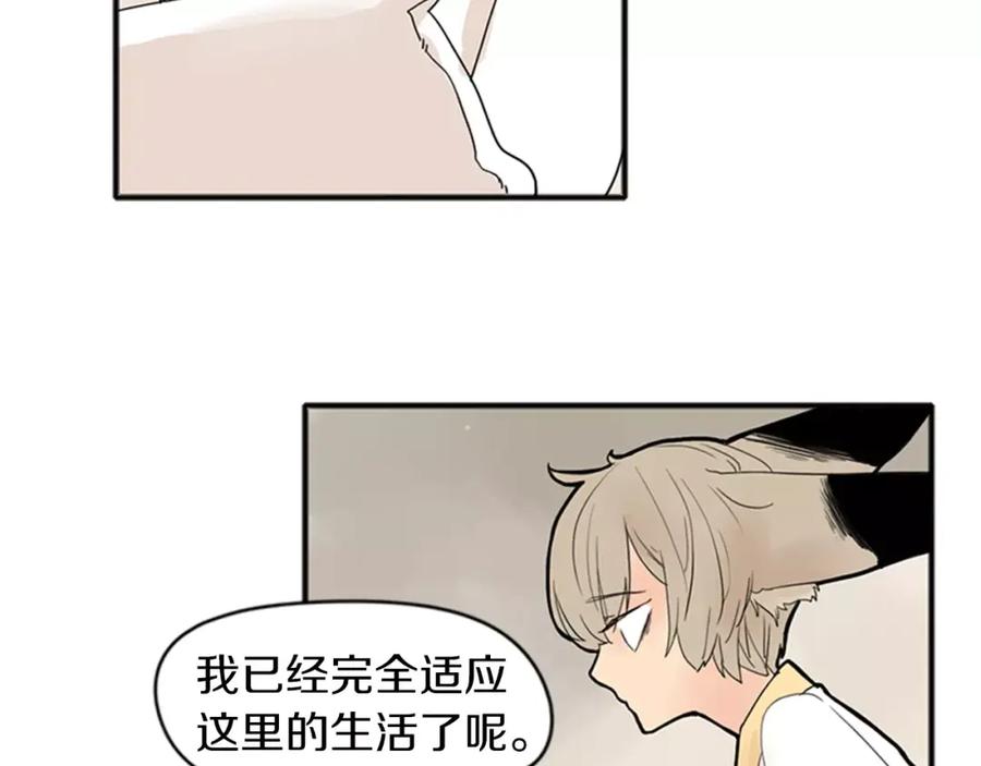 《狐狸的枷锁》第76话 商品 第17页