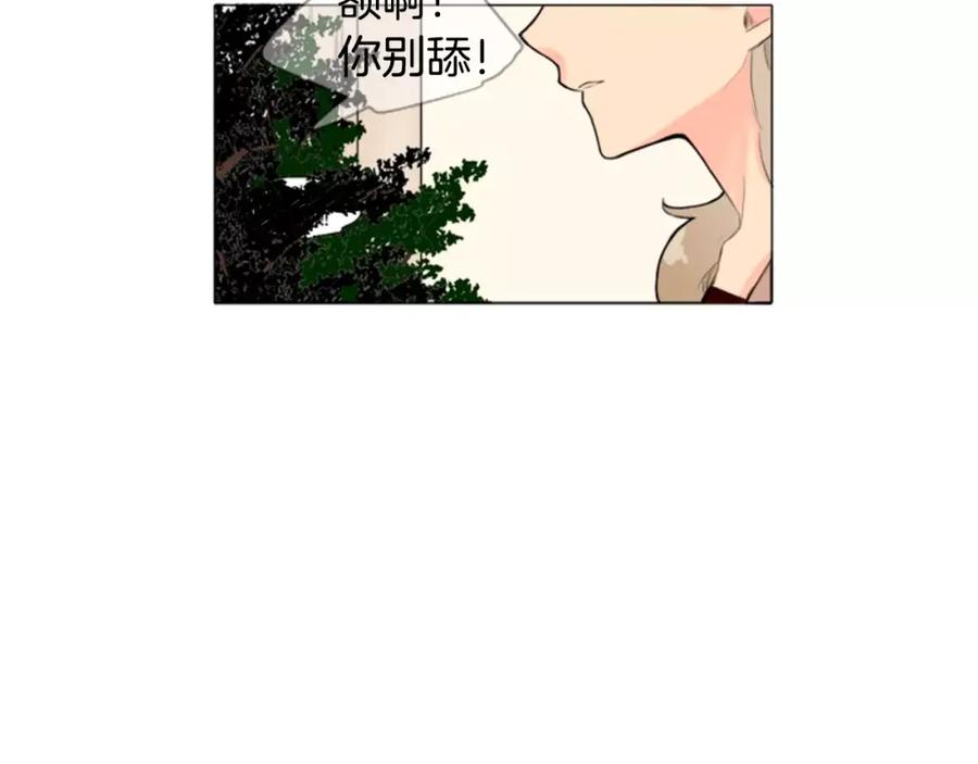 《狐狸的枷锁》第7话 哥哥的神龙摆尾 第14页
