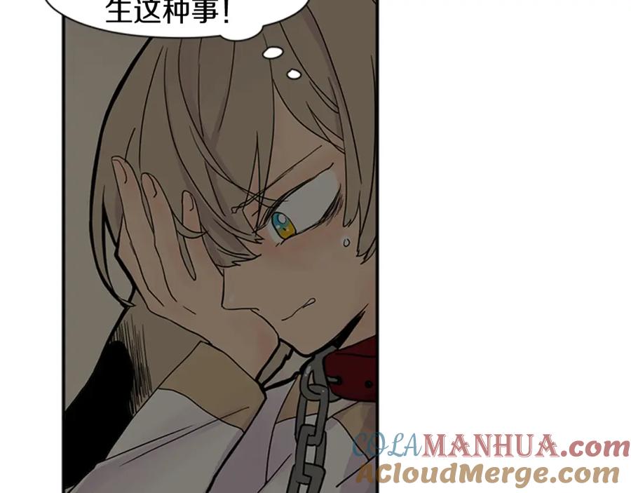 《狐狸的枷锁》第90话 他根本不相信我 第17页