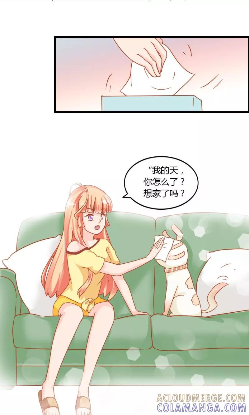 《狗粮好吃》第10话 第17页