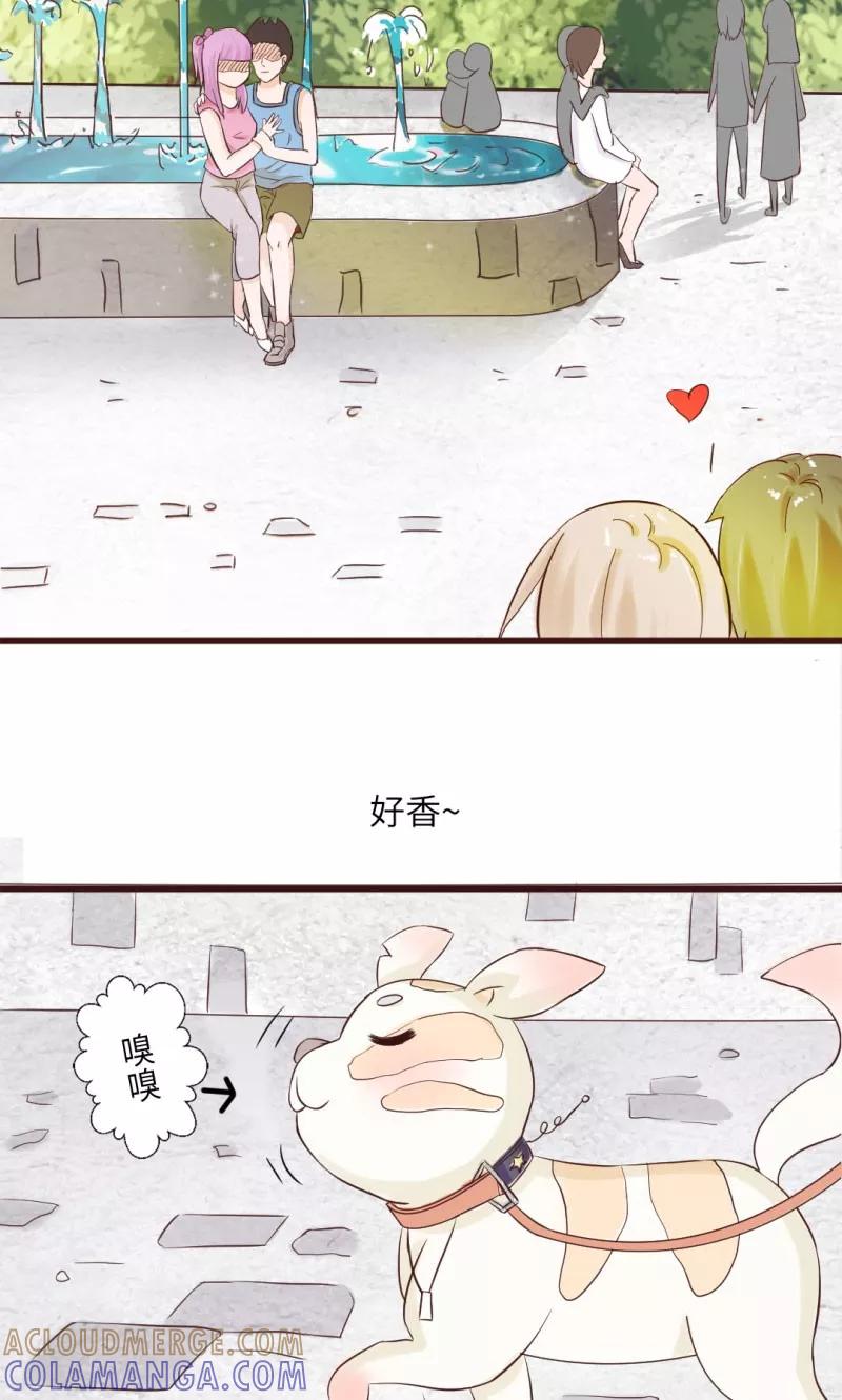 《狗粮好吃》第13话 第5页