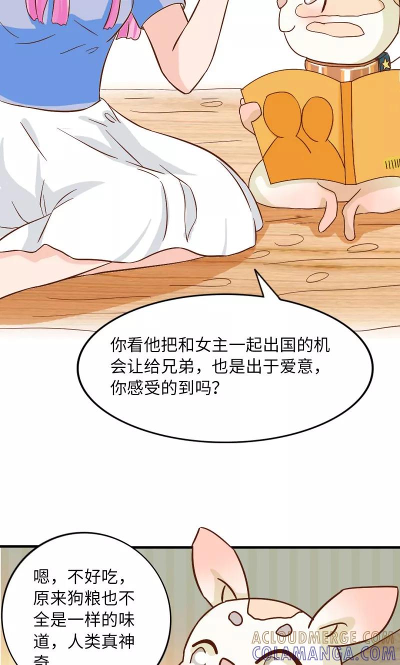 《狗粮好吃》第15话 第15页
