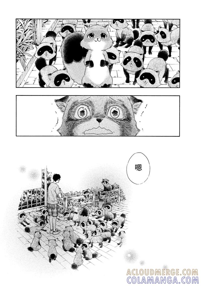 《狸公主的恋爱小九九》第25话 狸少年(6) 第15页