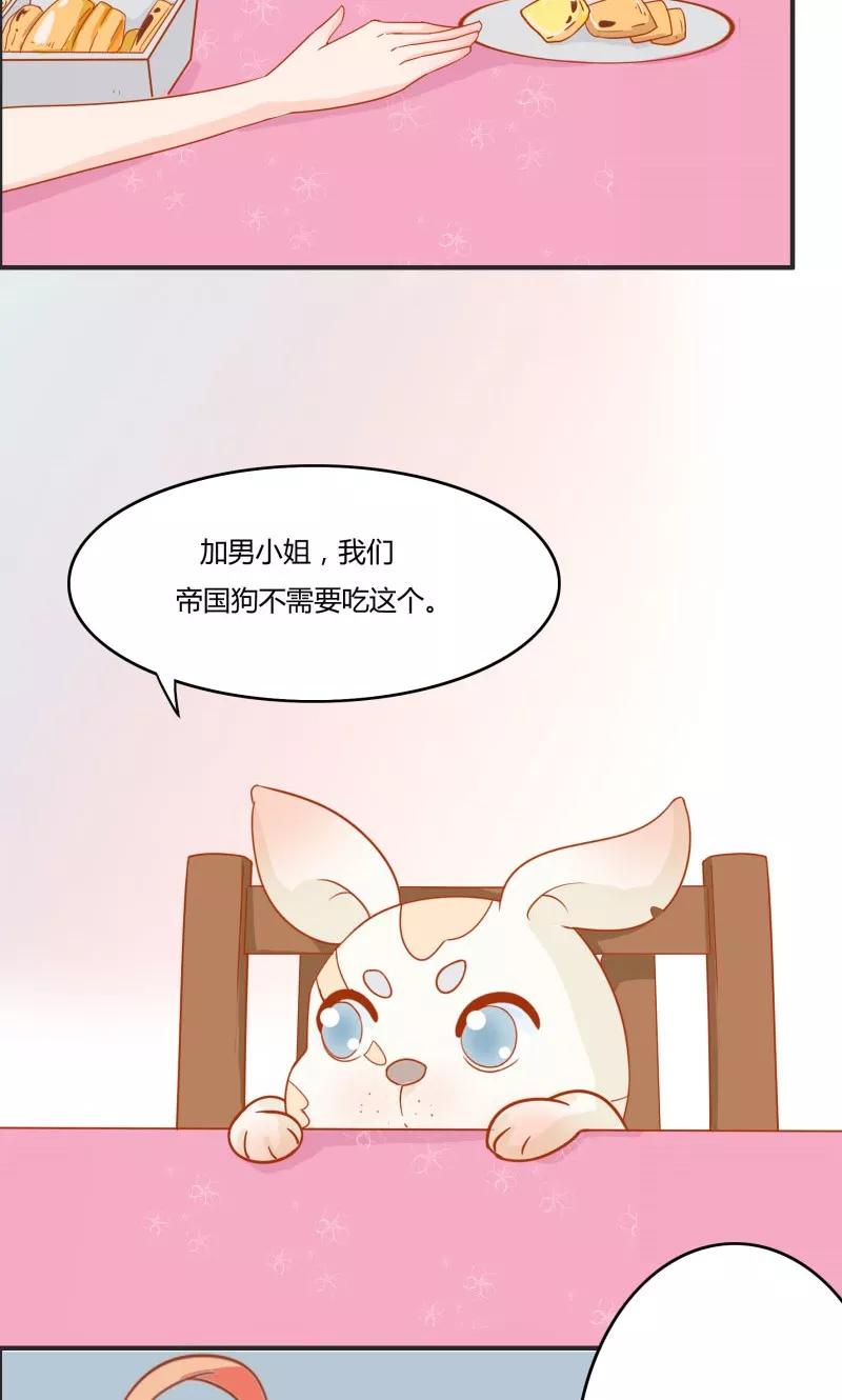 《狗粮好吃》第5话 第8页