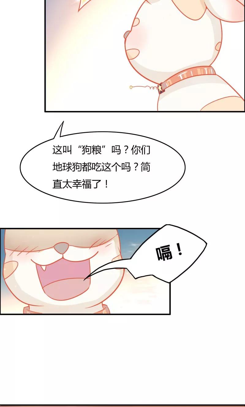 《狗粮好吃》第6话 第12页