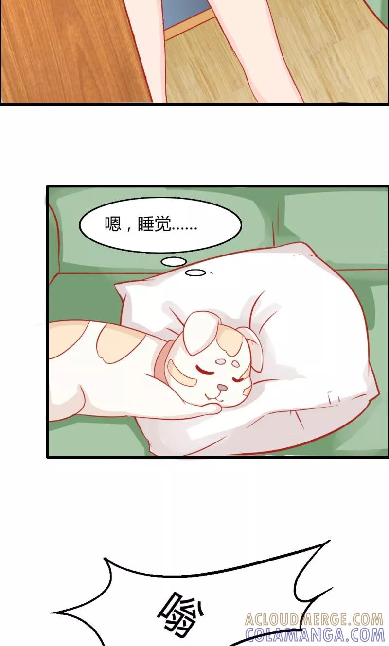 《狗粮好吃》第9话 第5页