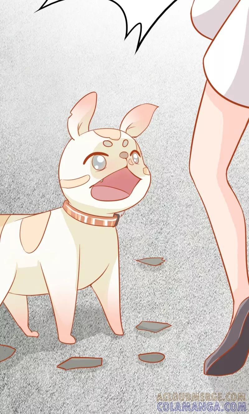 《狗粮好吃》第9话 第31页