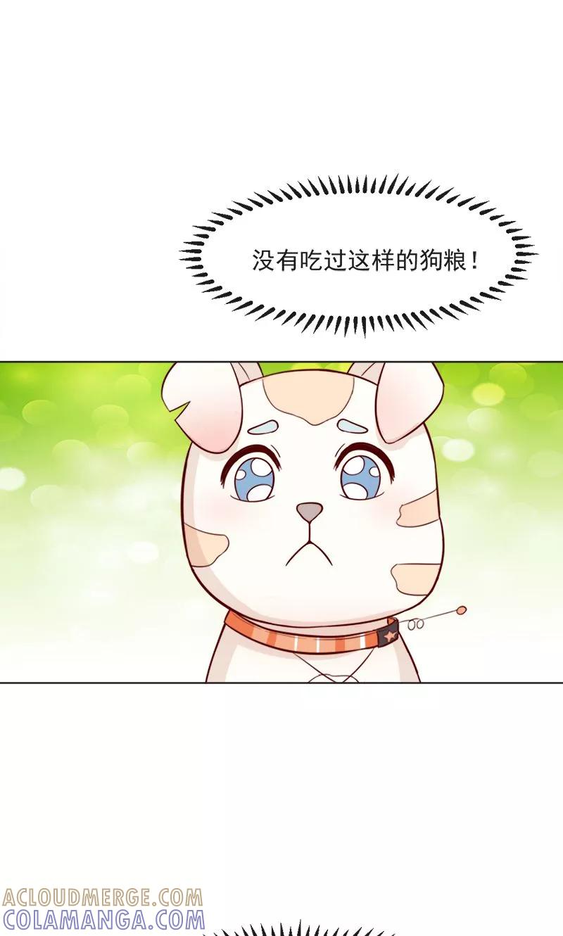 《狗粮好吃》第30话 第15页
