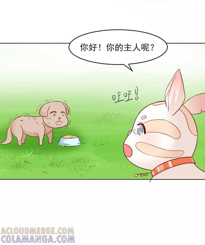 《狗粮好吃》第31话 第7页