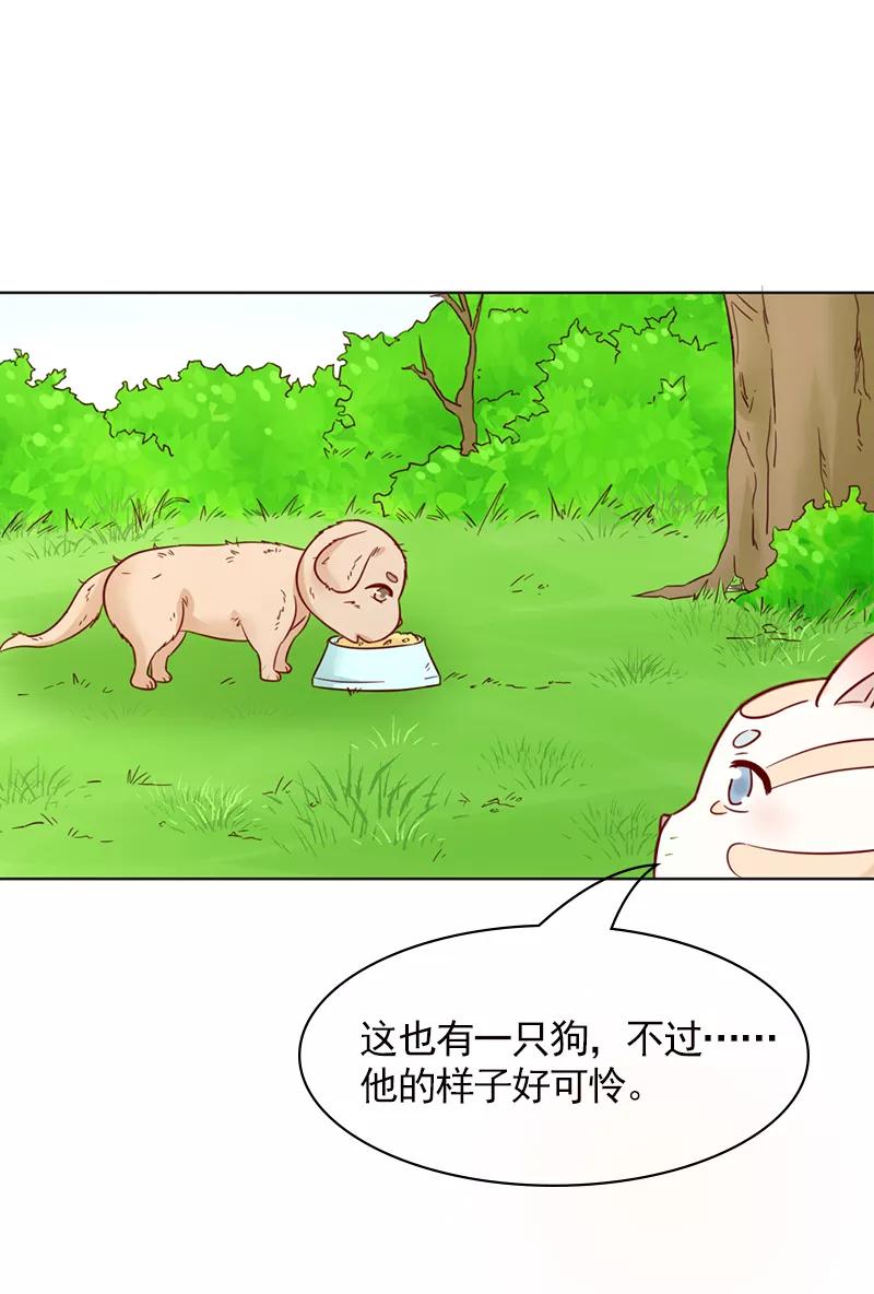 《狗粮好吃》第31话 第6页