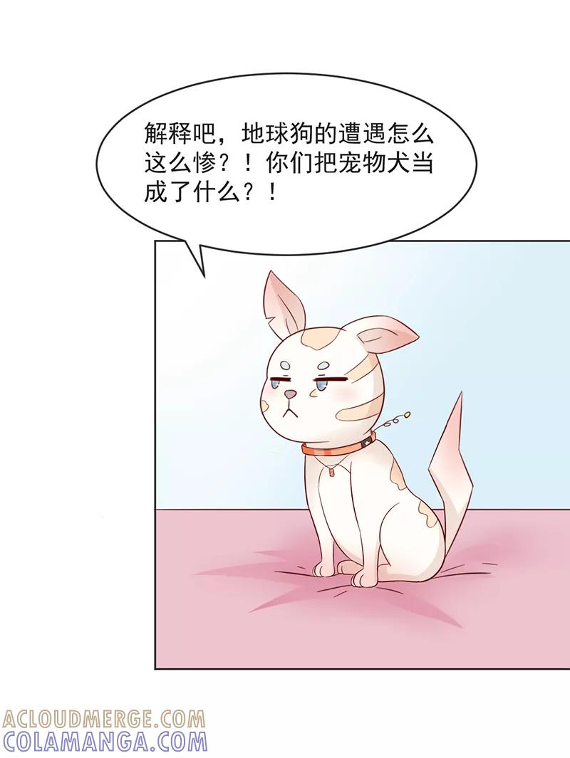 《狗粮好吃》第31话 第17页