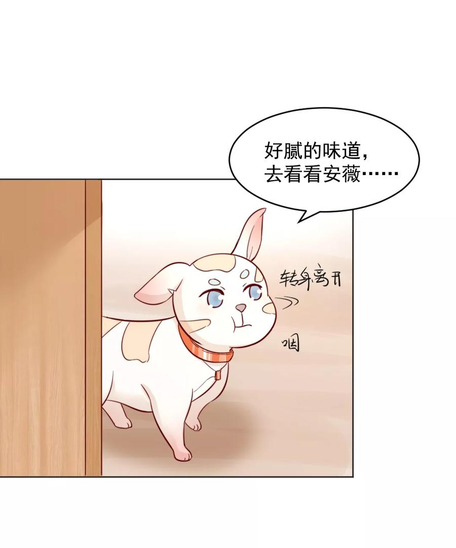 《狗粮好吃》第32话 第14页