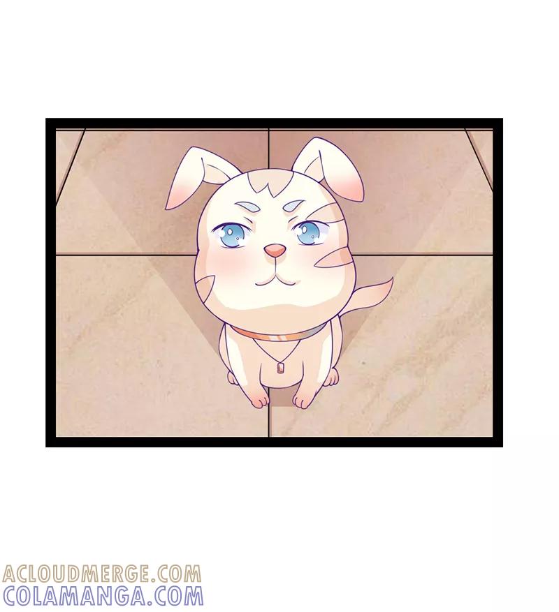 《狗粮好吃》第33话 第13页