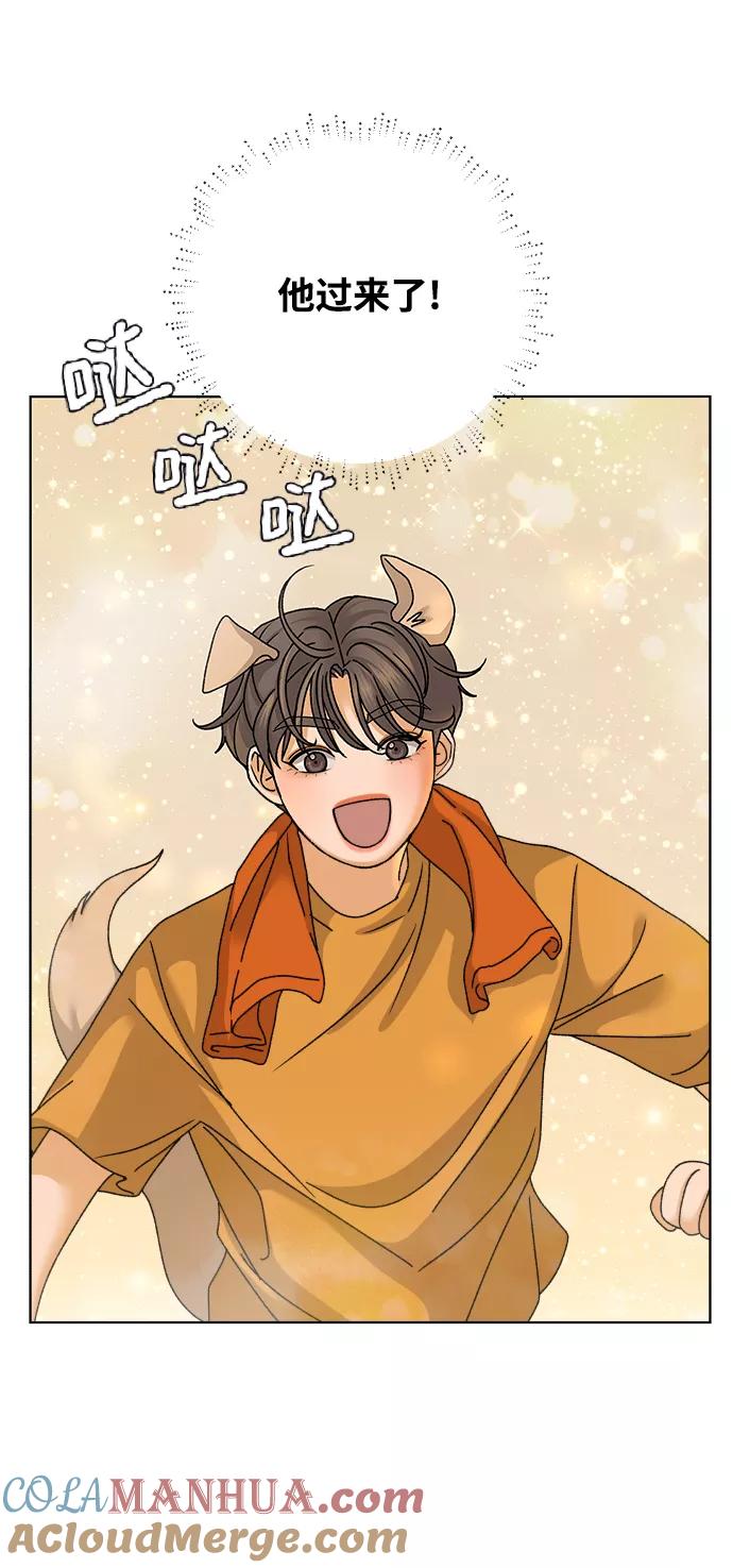 《狐狸游戏》[第47话] 挚友（2） 第19页