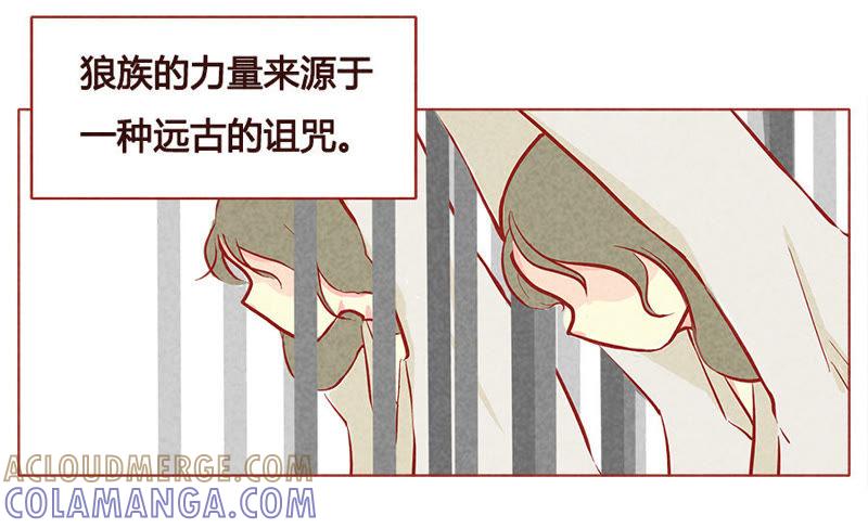 《妹妹？女儿？吸血鬼？》我能做到 第5页