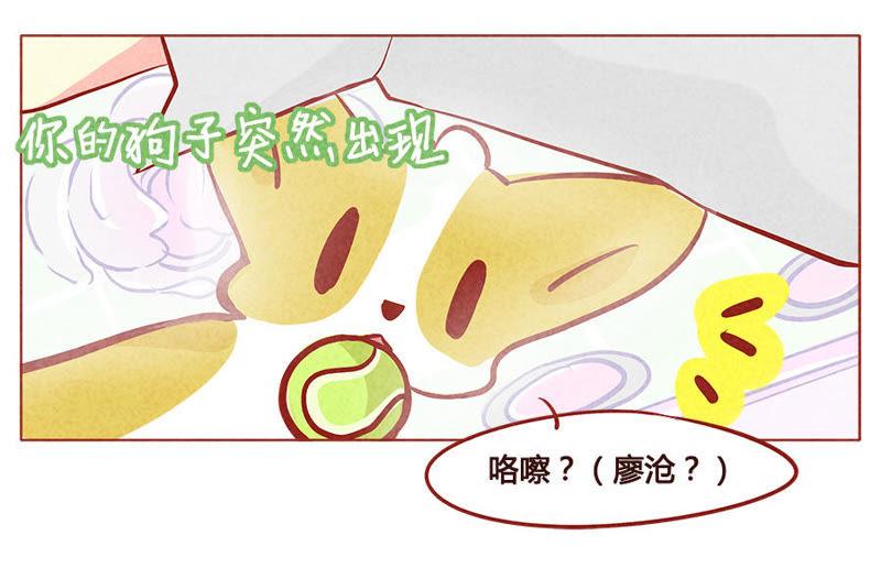 《妹妹？女儿？吸血鬼？》我要仅此而已 第18页