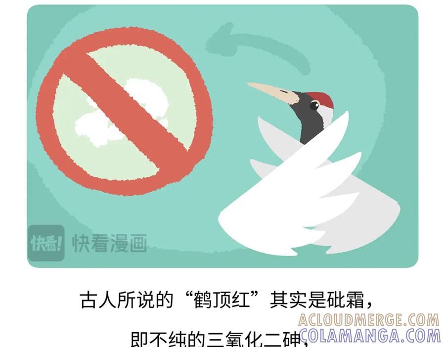 《胖达x胖达》第264话 第17页