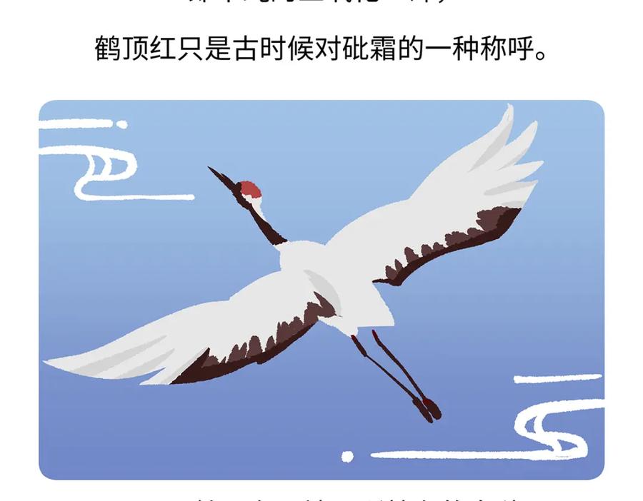《胖达x胖达》第264话 第18页