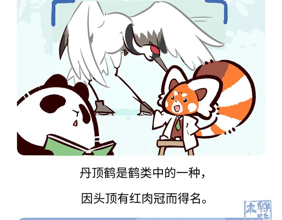 《胖达x胖达》第264话 第14页