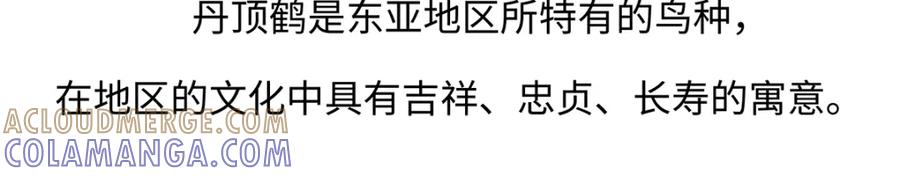 《胖达x胖达》第264话 第19页