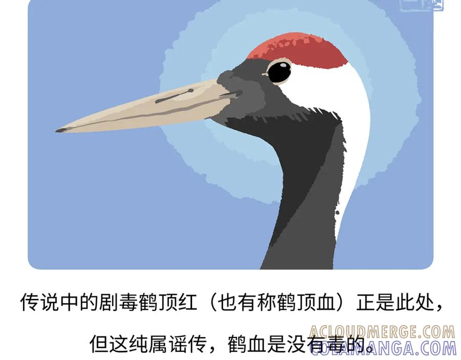 《胖达x胖达》第264话 第15页