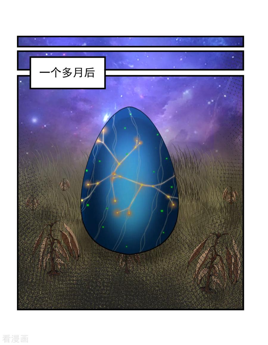 混沌丹神 155 自爆傀儡 第12页