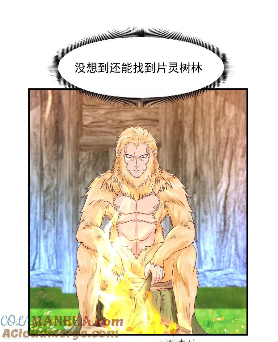 混沌丹神 156 痴人说梦 第13页