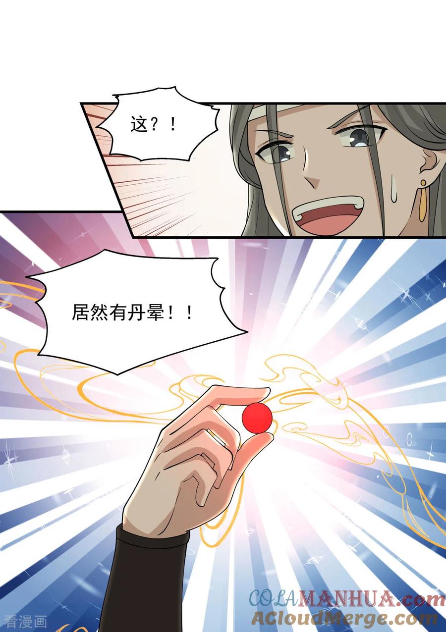 混沌丹神 169 炼丹奇才 第15页