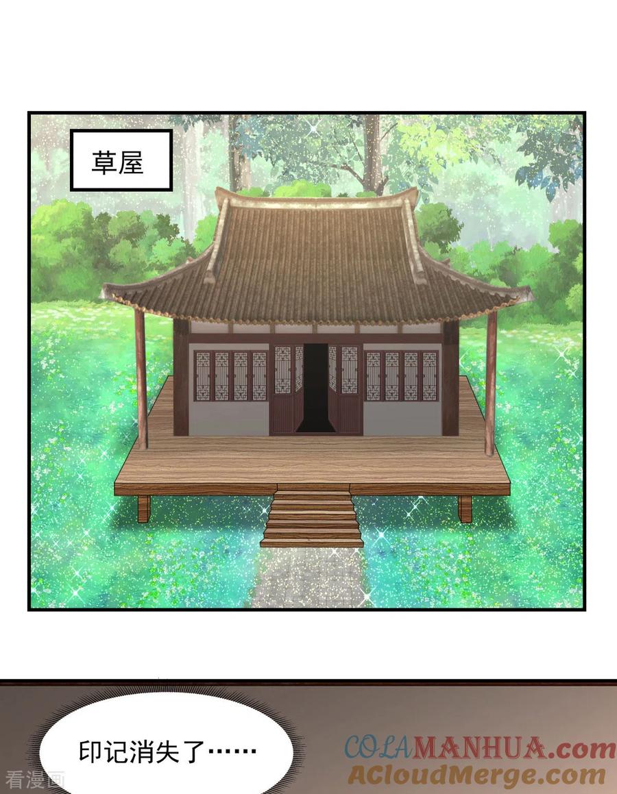 混沌丹神 175 神力印记 第11页