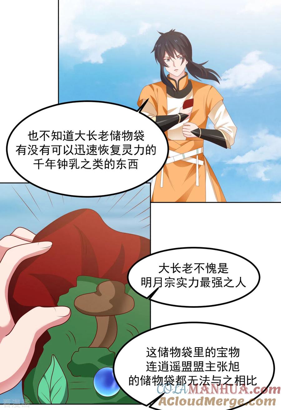 混沌丹神 195 神力法诀 第17页