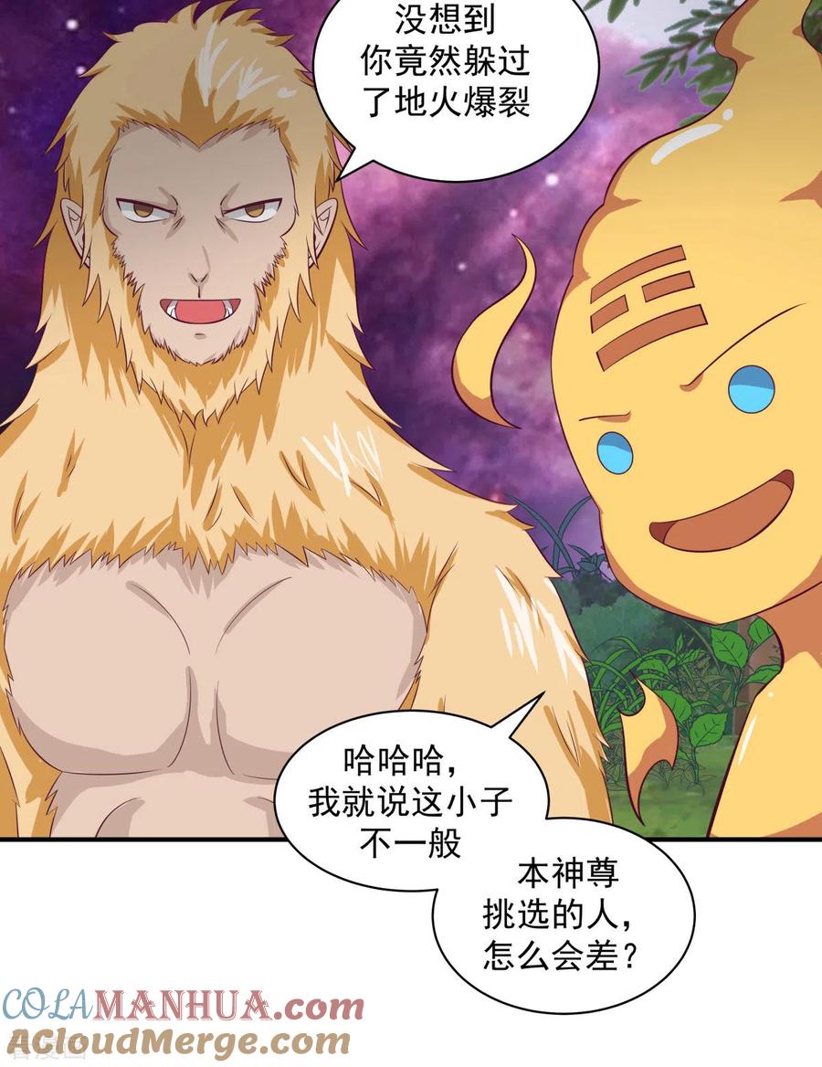 混沌丹神 218 获得凤凰精魄 第11页