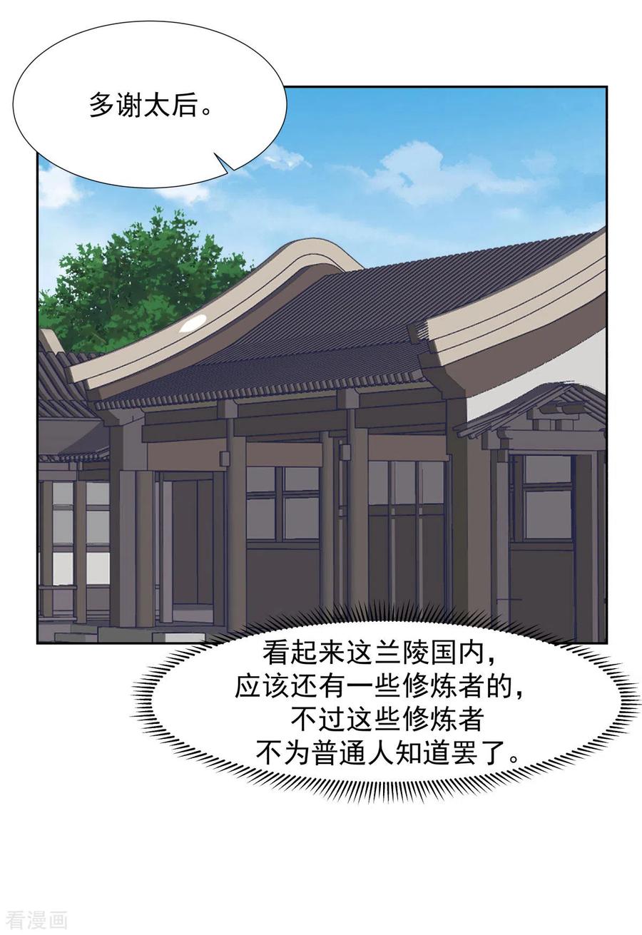 混沌丹神 228 宫中至宝 第4页