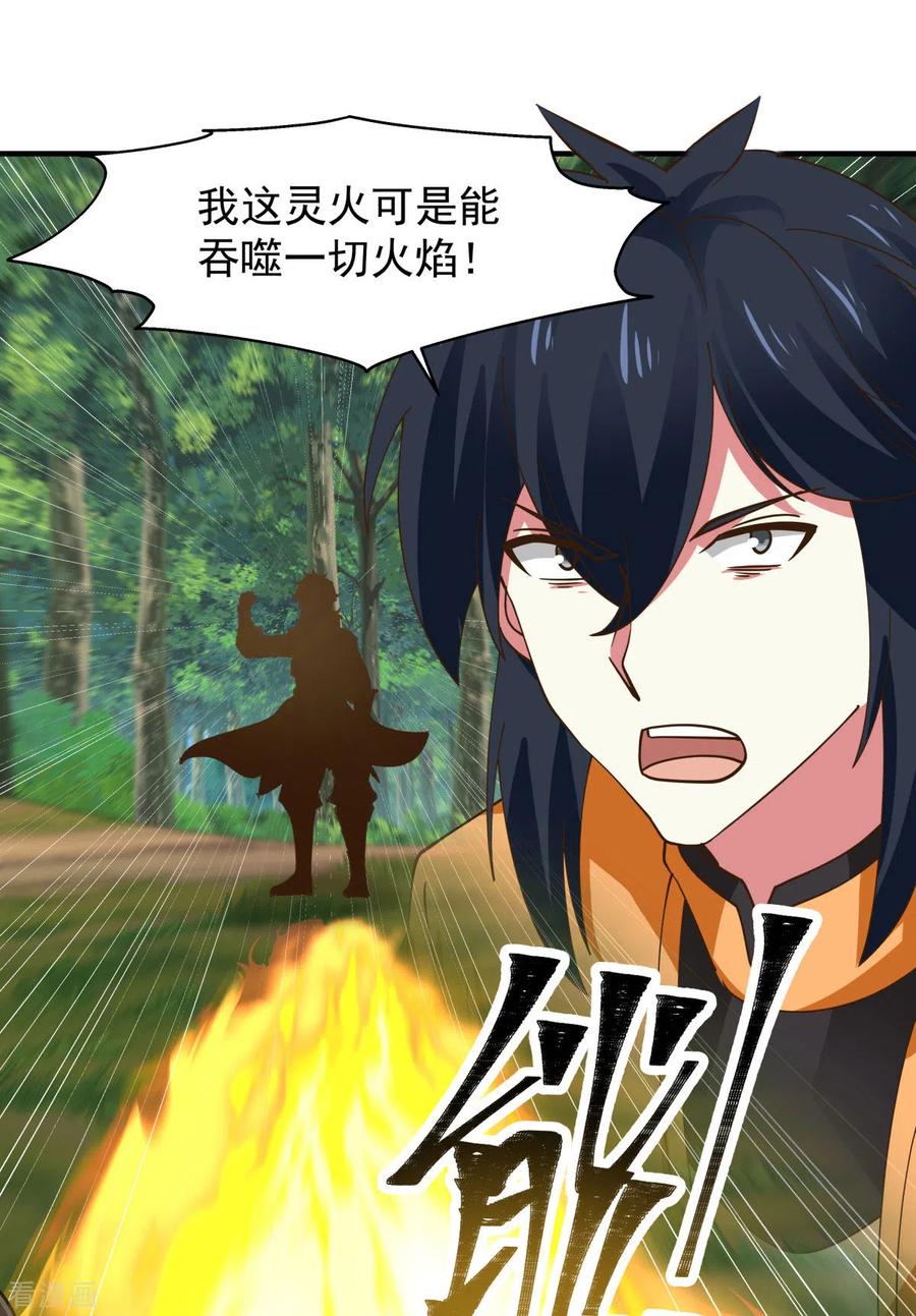 混沌丹神 244 穿越火脉山 第4页