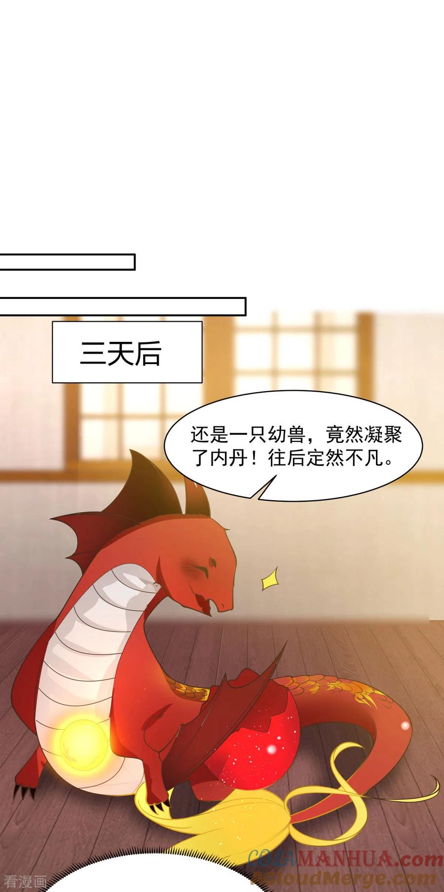 混沌丹神 267 傀儡与阵眼 第3页
