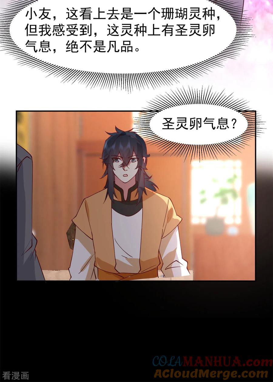 混沌丹神 311 圣卵气息 第11页