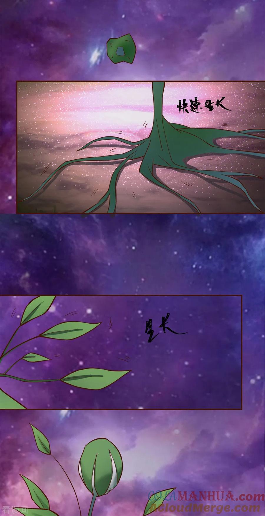 混沌丹神 315 灵龟草幼苗 第17页
