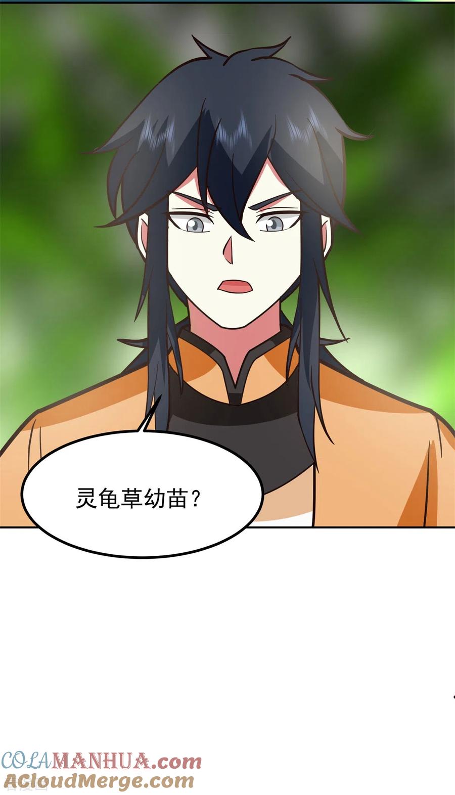 混沌丹神 315 灵龟草幼苗 第9页